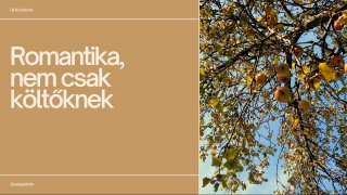 Romantika nem csak költőknek