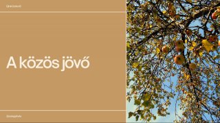 Időutazás