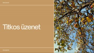 Titkos Üzenet
